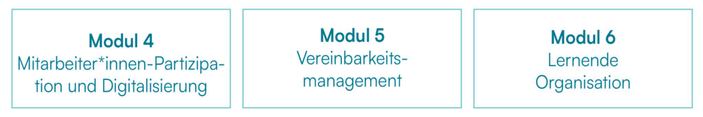 The picture shows the three modules of professional development.