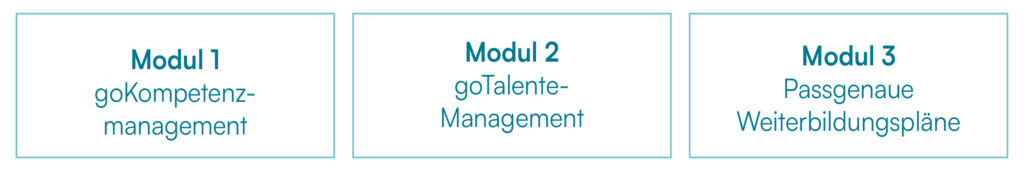 The picture shows the 3 modules of the basic professional development package.