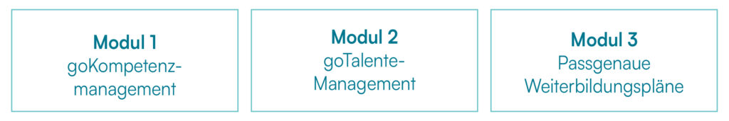 Das Bild zeigt die 3 Module des Basispakets der beruflichen Entwicklung.